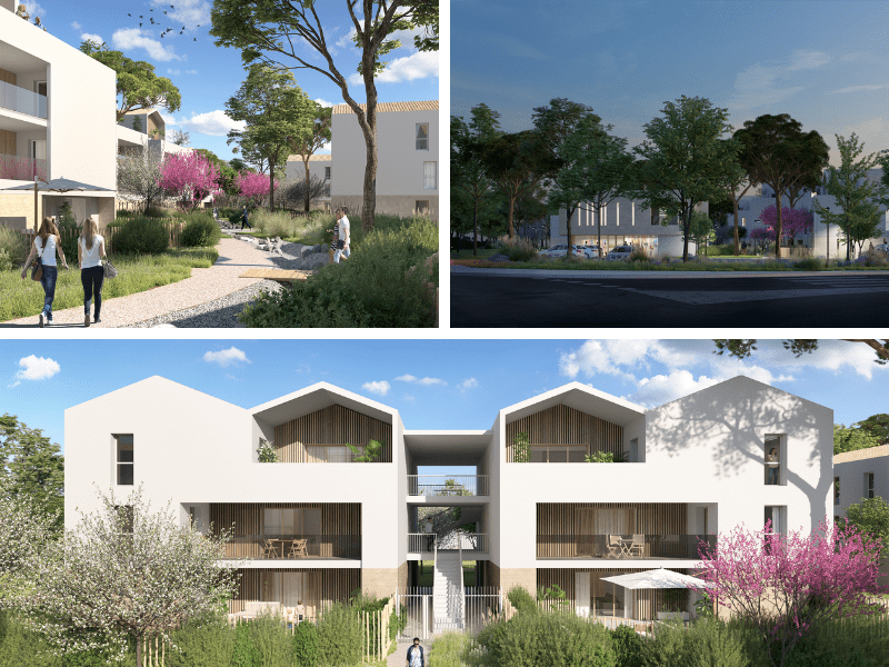 Perspective domaine Hestia