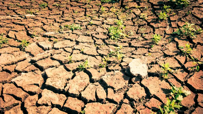 Face à la sécheresse, l'agriculture occitane veut devenir un « Eldorad’eau » 1 - Les indiscretions Design sans titre 4 - Les indiscretions